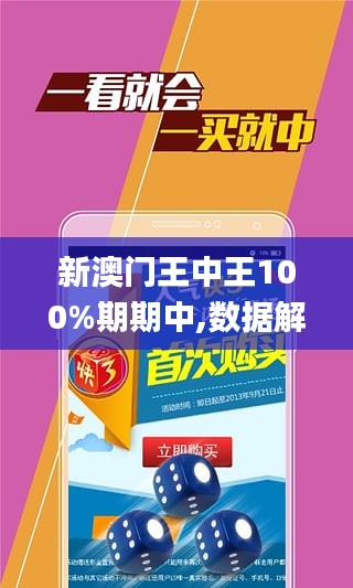 澳门王中王100精准数据解读-精选解释解析落实