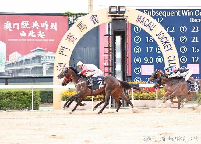 今天澳门晚上出什么马-绝对经典解释落实