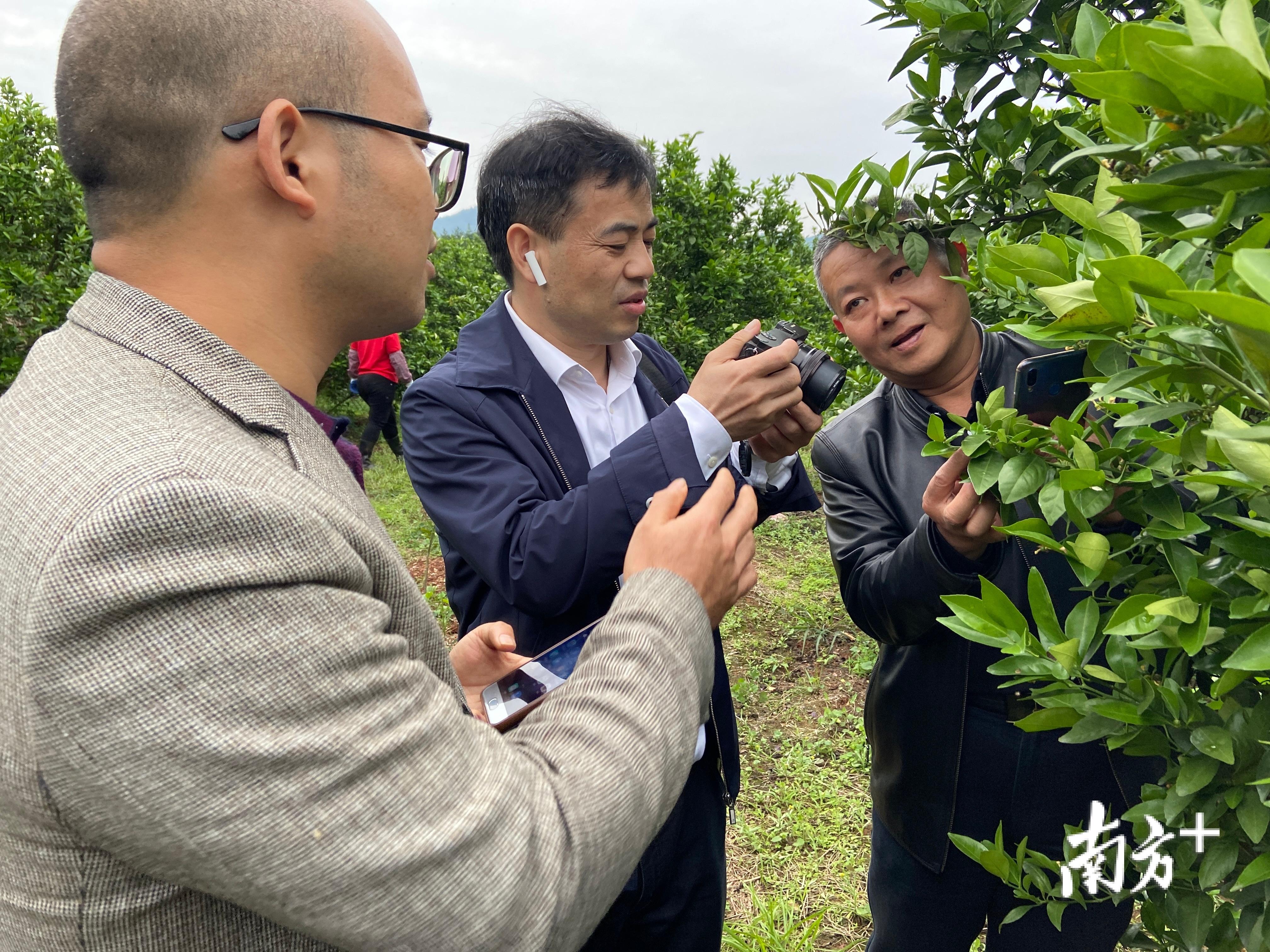 江苏九枝智能科技，引领科技创新的先锋力量