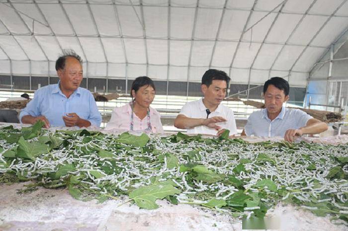 江苏蚕桑科技的繁荣与发展