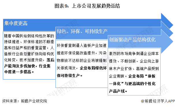 广东红星实业有限公司，历史沿革、业务布局与未来展望