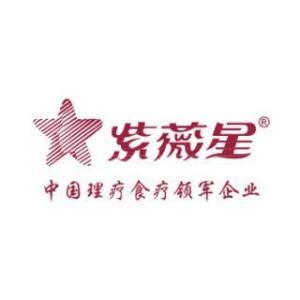 广东星驰有限公司，探索卓越，共创辉煌