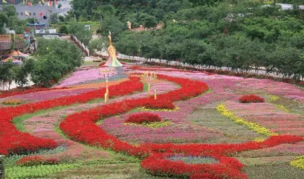 广东省江门市江门幼师，培育未来花朵的摇篮