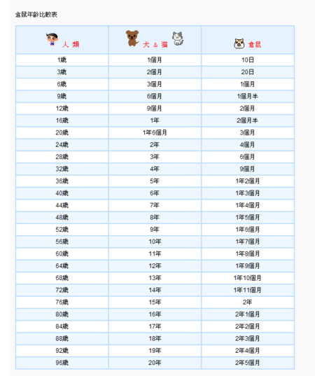 关于年龄换算，如何解读26个月是几岁的含义